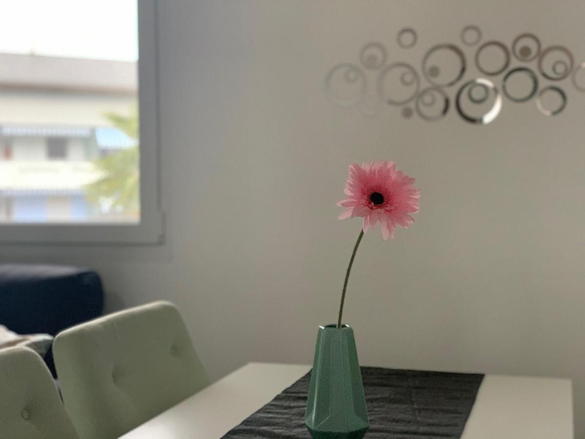 Miranda, Modern Duplex, Garden, Swimming Pool, Parking Apartman Losone Kültér fotó
