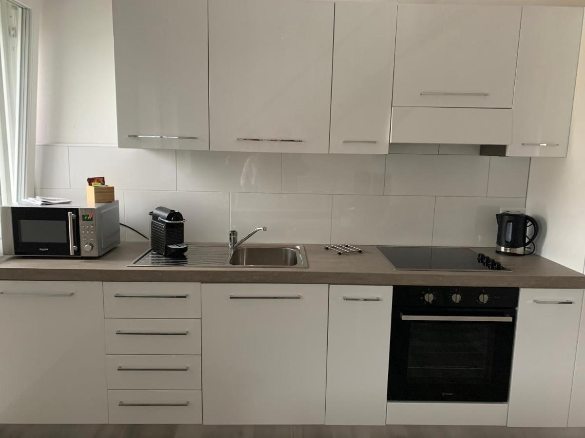 Miranda, Modern Duplex, Garden, Swimming Pool, Parking Apartman Losone Kültér fotó