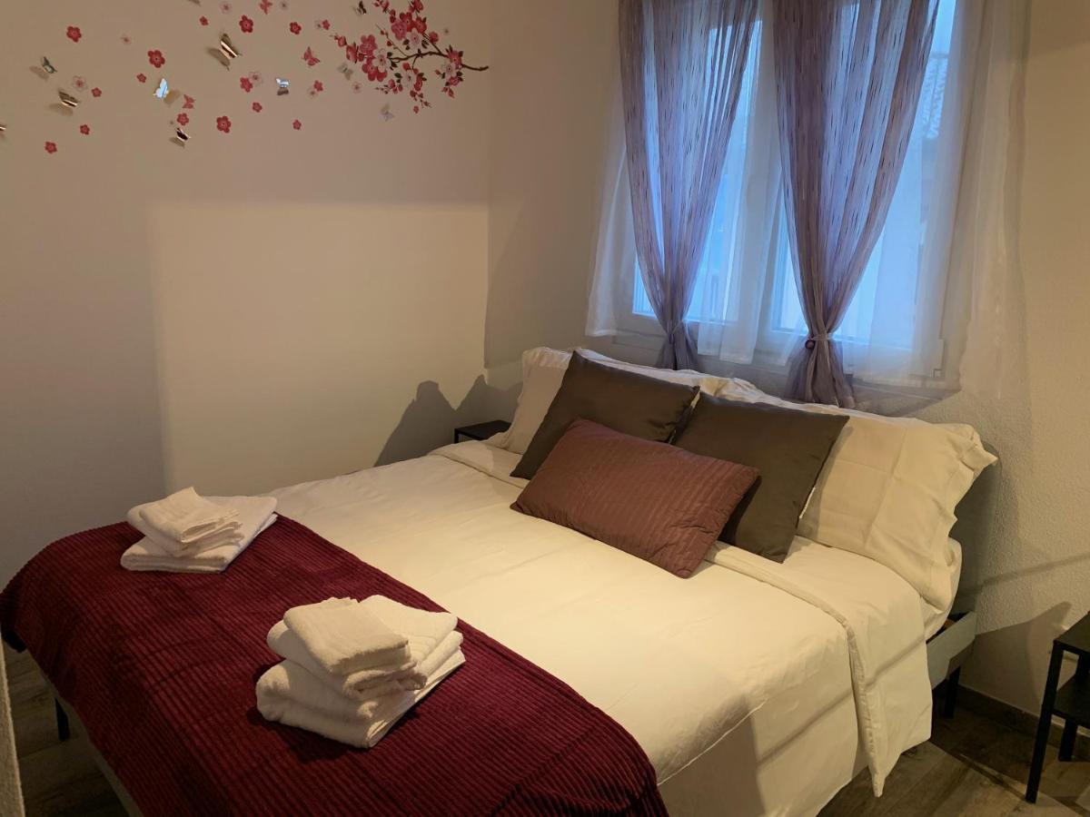 Miranda, Modern Duplex, Garden, Swimming Pool, Parking Apartman Losone Kültér fotó